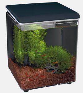 Complete Integrated Shrimp Tank