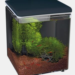 Complete Integrated Shrimp Tank